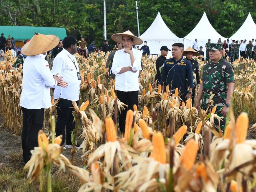 Jadi Topik Pembicaraan karena Dicap Gagal  Apa sih Food Estate 
