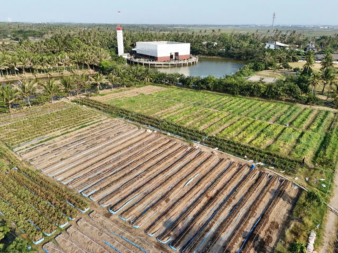 Sang Kyai di Pagar Desa Kohod