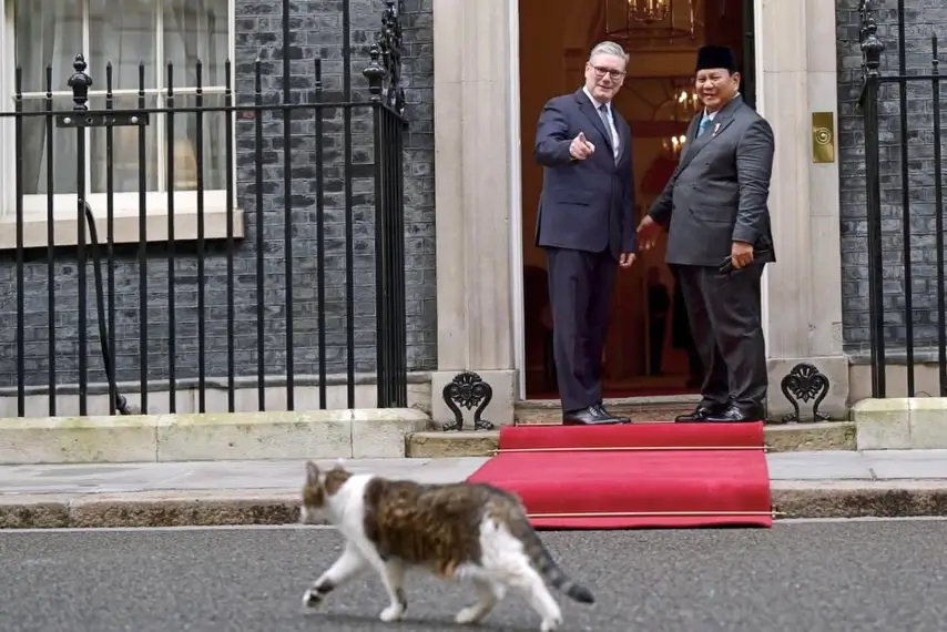 Momen ketika Presiden RI, Prabowo Subianto (kanan) bertemu PM Inggris, Keir Starmer (kiri) disambut Larry the Cat di 10 Downing Street, London, Inggris. (Foto: Instagram/presidenrepublikindonesia)