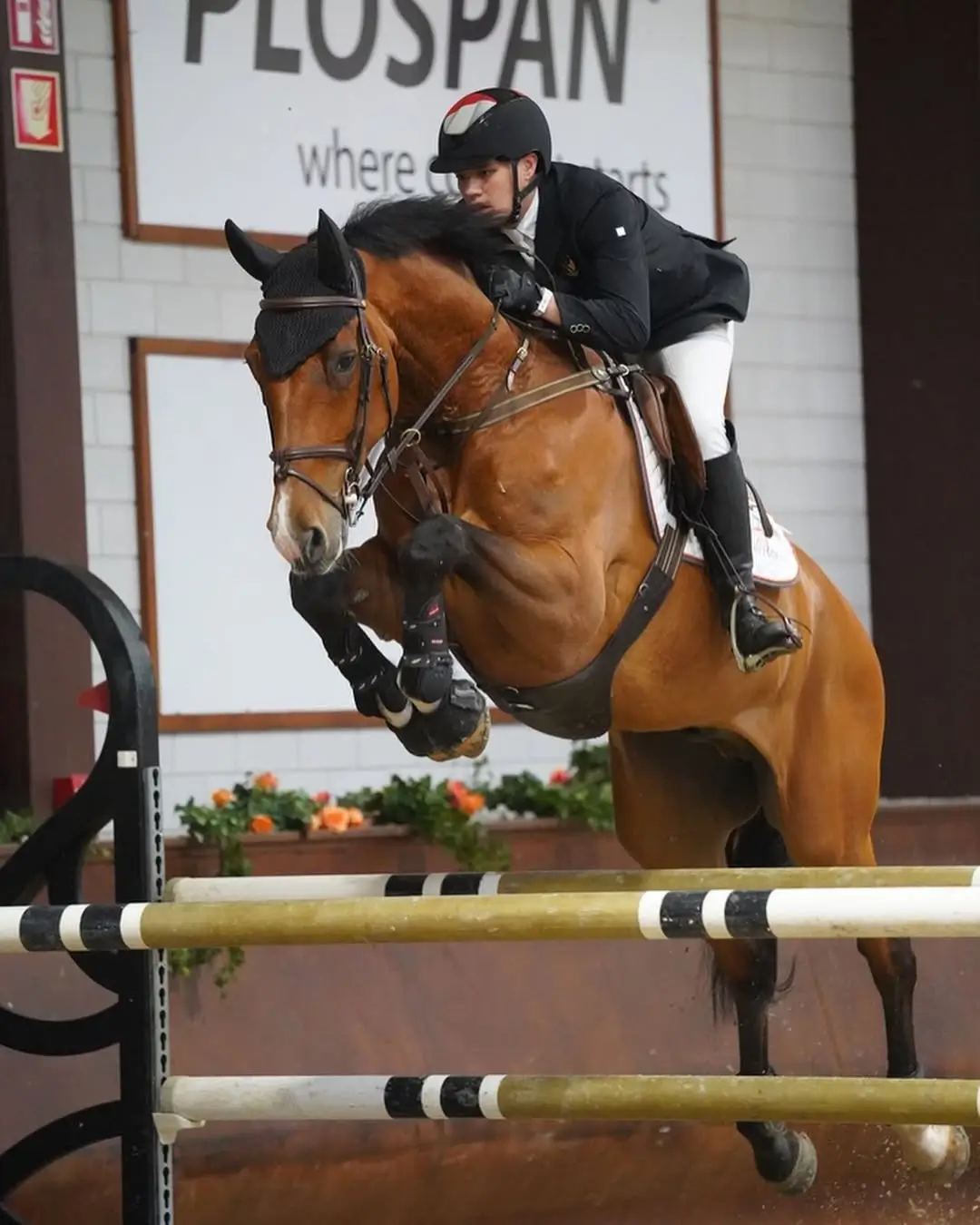 Salut  Brayen Brata Coolen Jadi Atlet Berkuda Indonesia Pertama yang Raih Emas Show Jumping Individu SEA Games