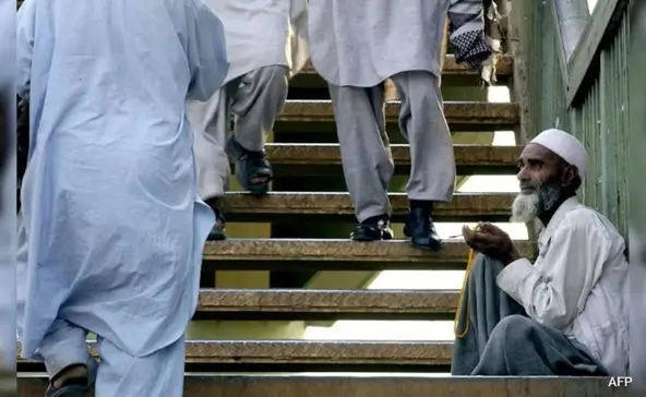 (Foto: himpuh.or.id)