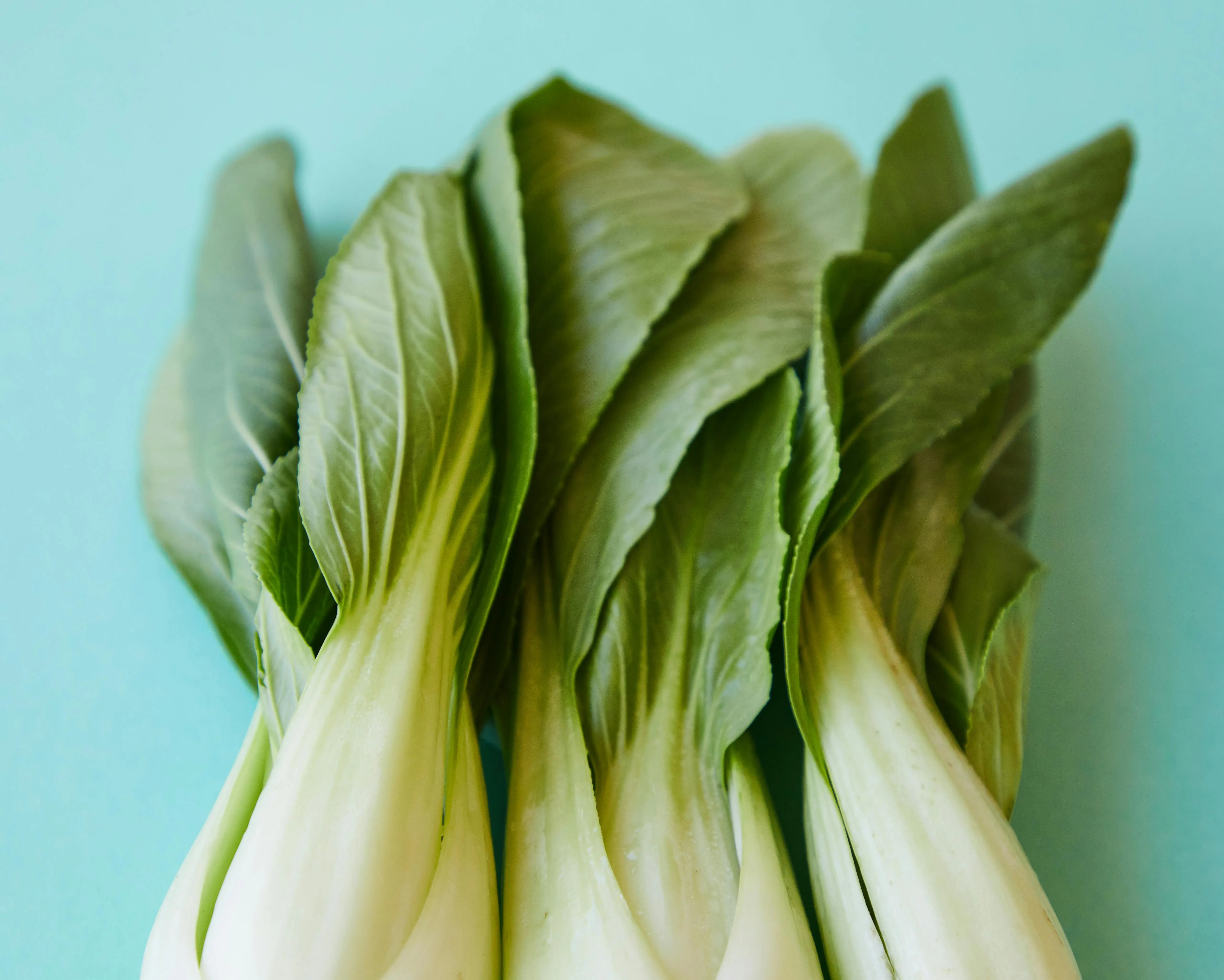 Sayur pakcoy. (Foto: Pexels/Laker)