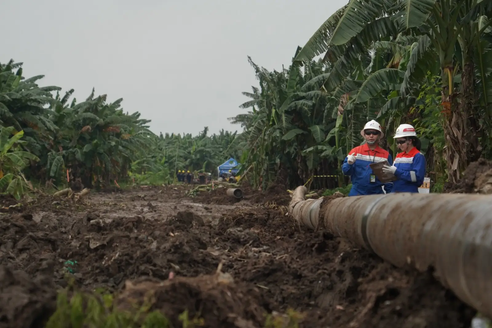 19 Tahun Pertagas  Energi Mengalir untuk Negeri  Menguatkan Langkah Menuju Indonesia Emas 2045