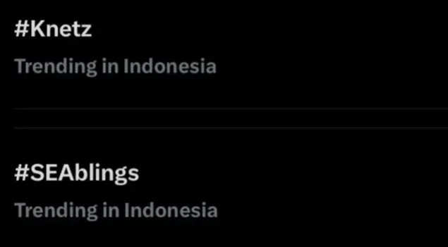 Tagar Knetz dan SEABlings tengah mencuat di media sosial X. (Foto: Tangkapan layar/X)