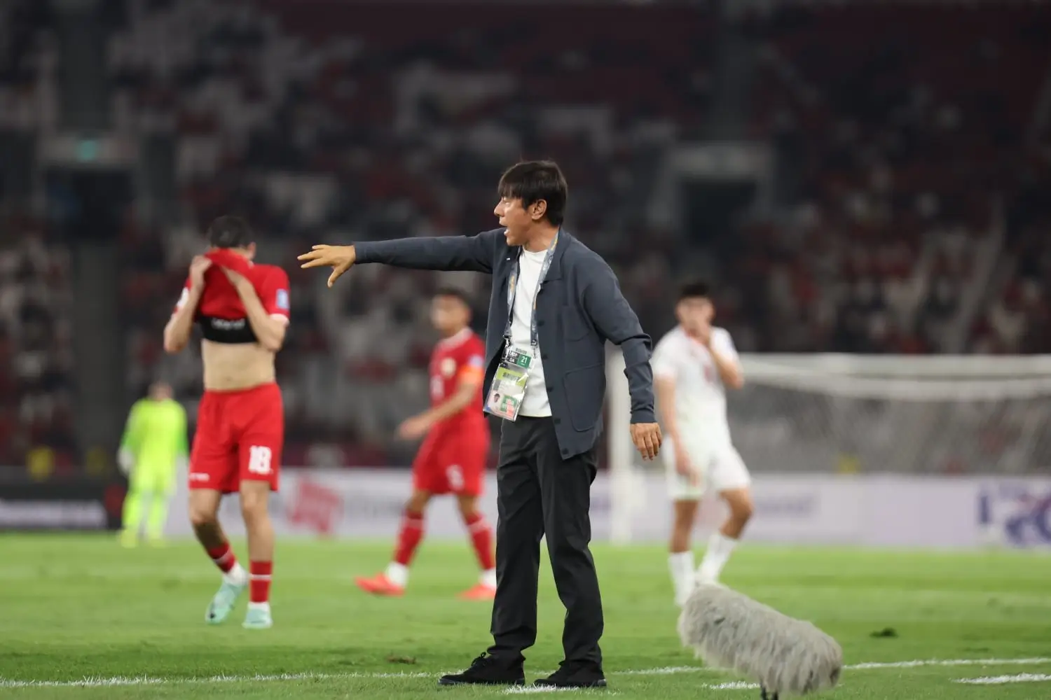 Shin Tae-yong (sumber PSSI)
