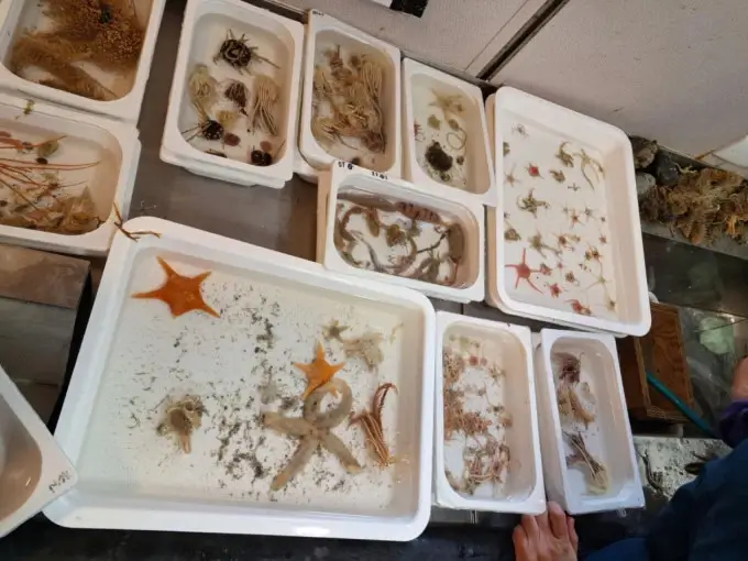 Menembus Kutub Selatan  Ini Cerita Ezra Timothy Teliti Jejak DNA Sedimen Purba di Antartika
