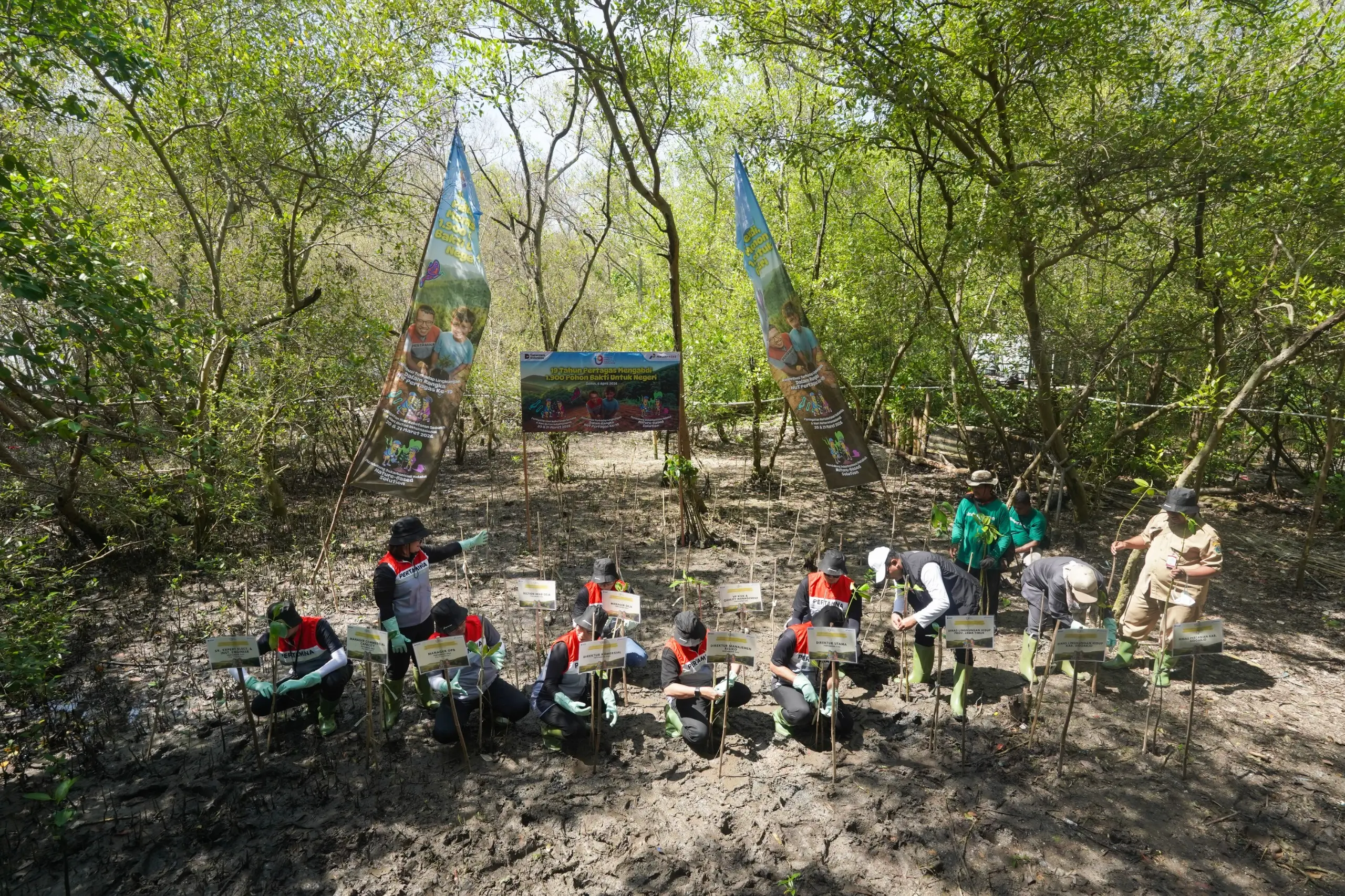 Tanam 4 300 Pohon di Enam Wilayah Pertagas Perkuat Komitmen Lingkungan