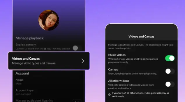 Foto: Fitur Kontrol Video (dok. Spotify)