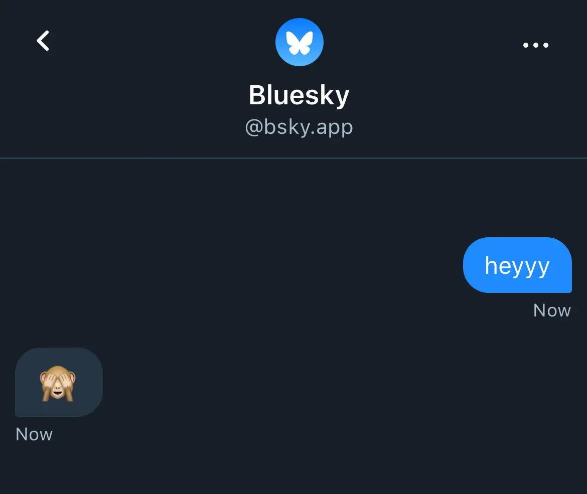 Foto: Bluesky DM (dok. Bluesky)