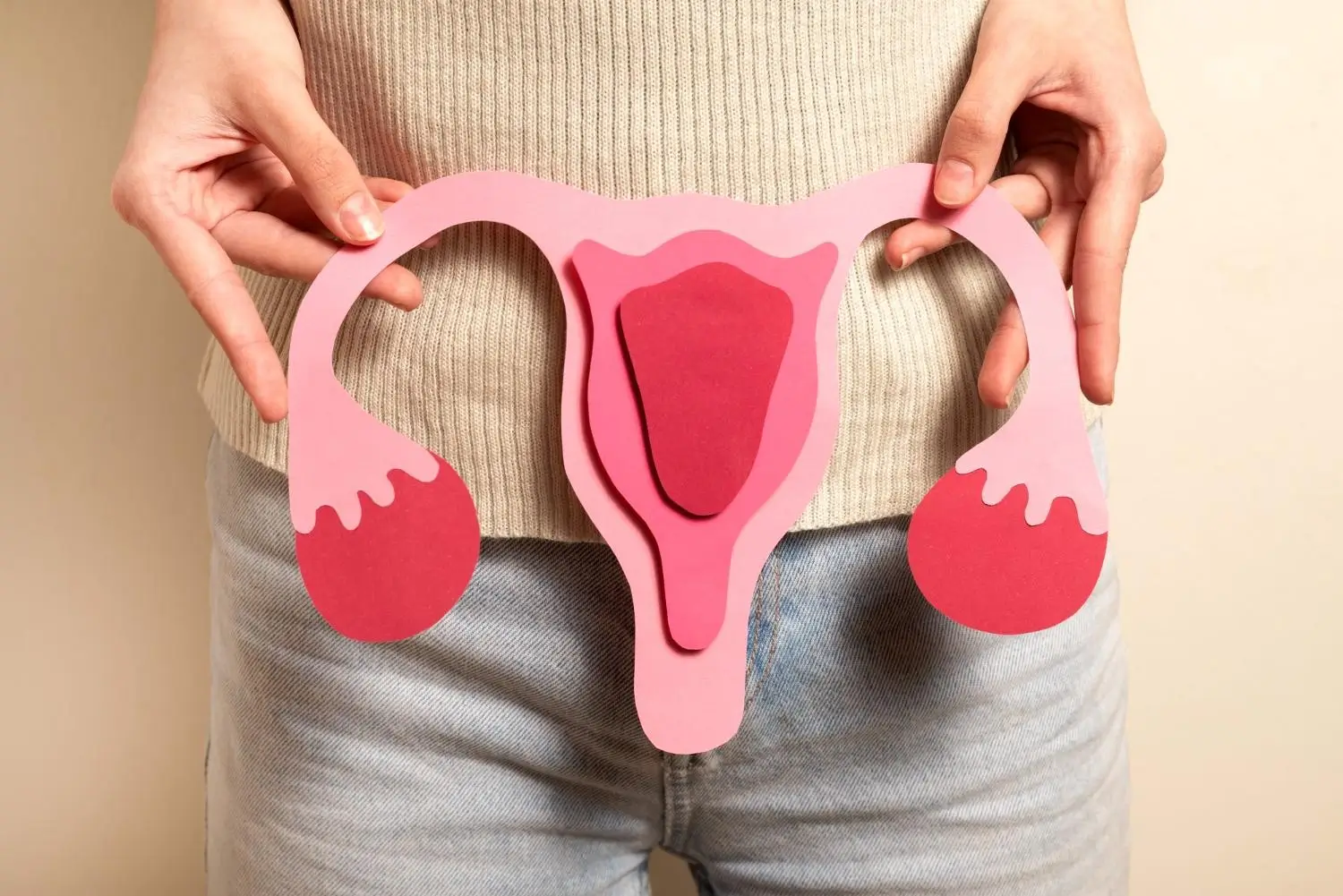 Foto: Sistem Reproduktif Perempuan (magnific.com photo by freepik)