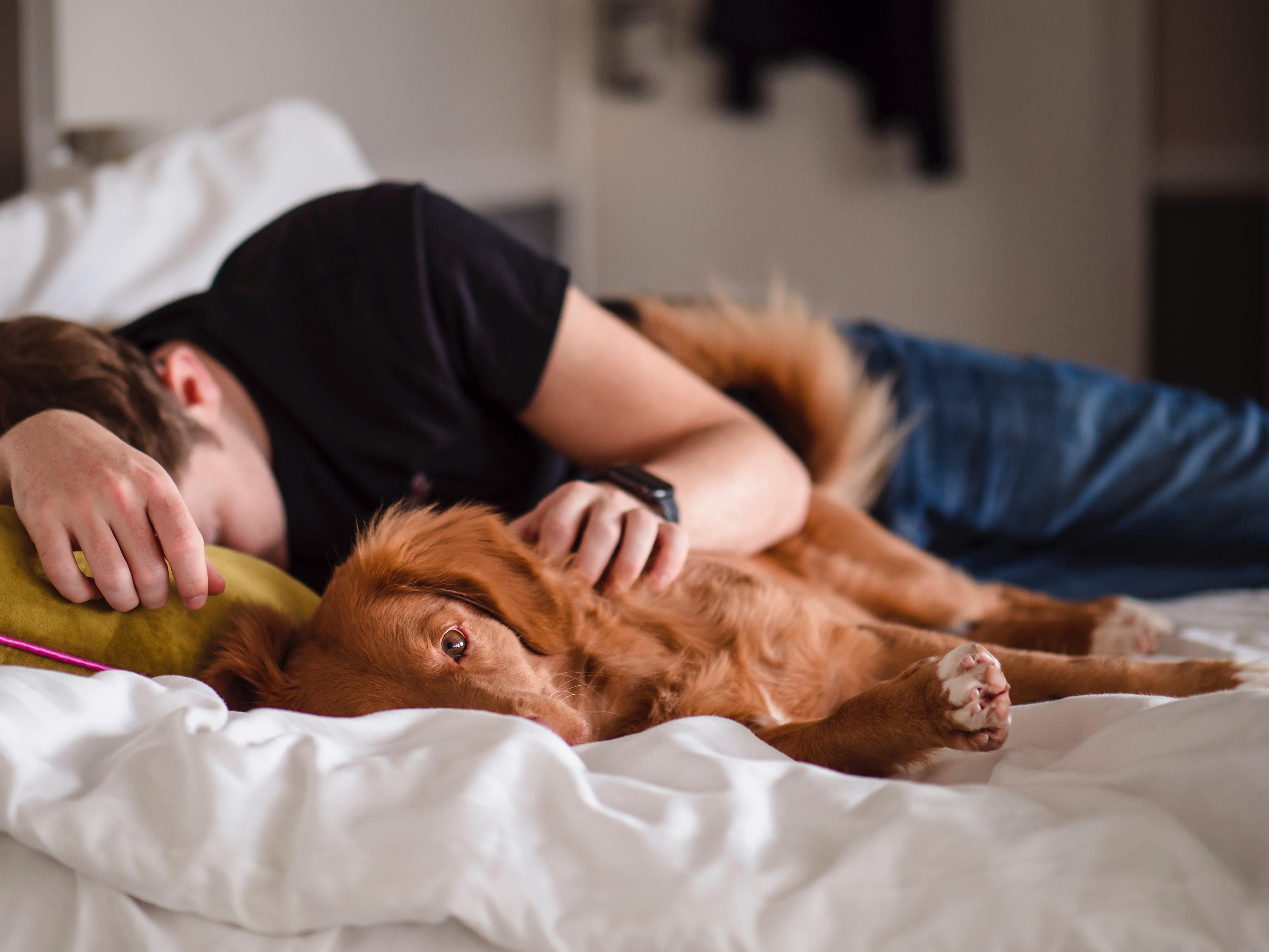 Ilustrasi tidur siang. (Foto: Unsplash/Jamie Street)