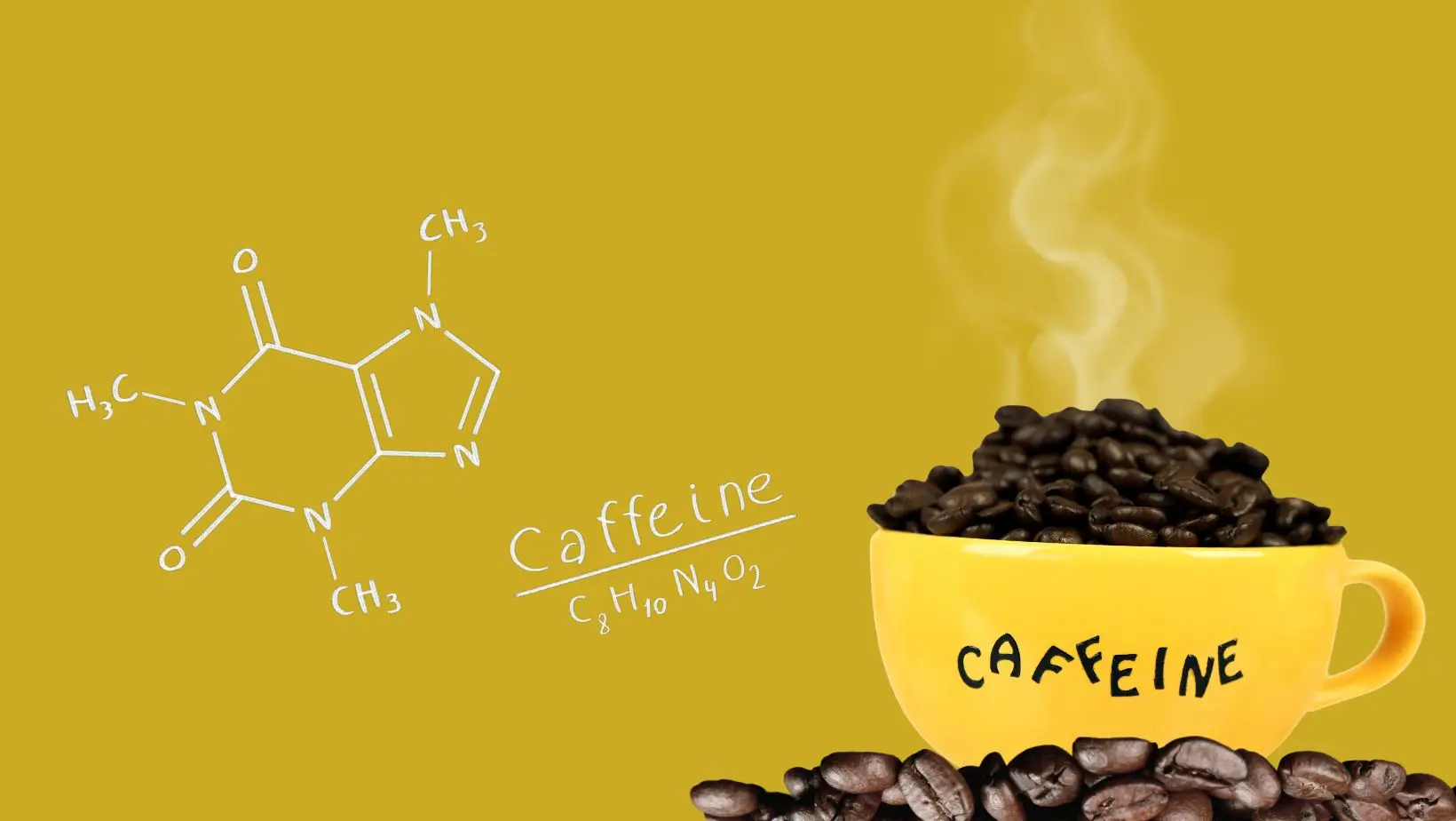 Ilustrasi Kafein (Foto: Canva)