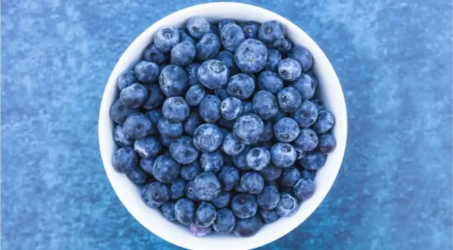 Buah blueberry. (Foto: Pexels/Patricio Nahuelhual)