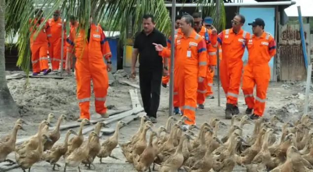 Foto: PHM memanfaatkan sampah organik sisa makanan pekerja di kafetaria sebagai pakan ternak bebek untuk mendukung ekonomi sirkular (Dok. PHM)