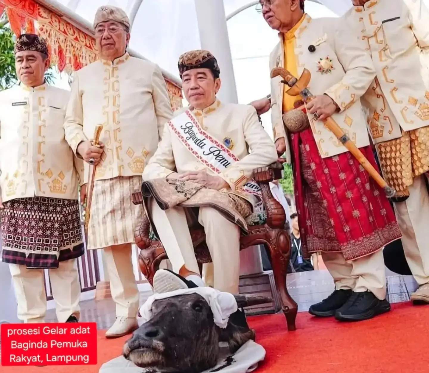 Momen Presiden ke-7 RI, Joko Widodo menginjak kepala kerbau dalam sebuah prosesi adat di Lampung. (Foto: Instagram/barusbestari)