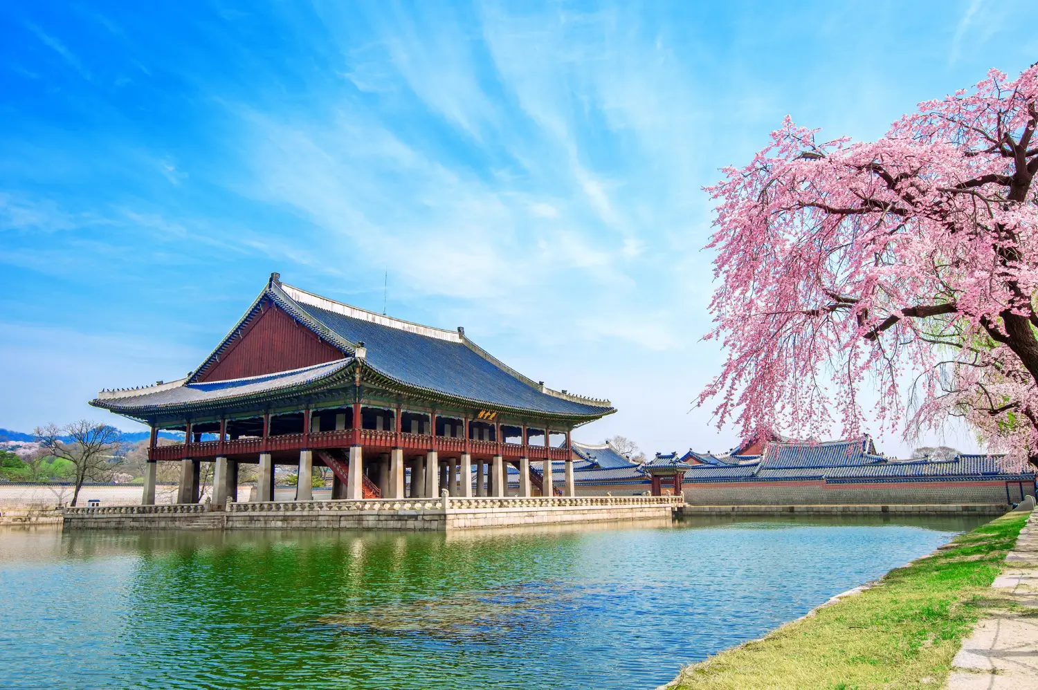 Foto: Ilustrasi Korea Selatan (magnific.com photo by tawatchai07)