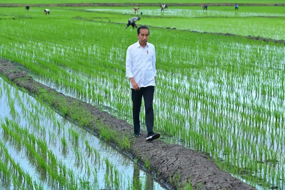 Presiden RI Joko Widodo. (Foto: Instagram/jokowi)