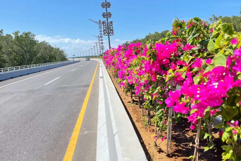 Sebanyak 450 Ribu Tanaman Hiasi Jalan Tol di Indonesia  Apa Saja Jenisnya 