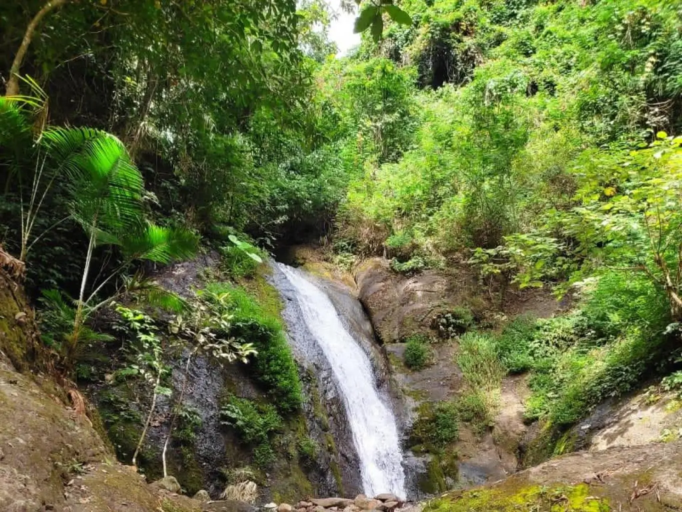 Kertoembo, kampung dengan paparan sinar matahari terbatas. (Foto: jadesta.kemenparekraf.go.id)