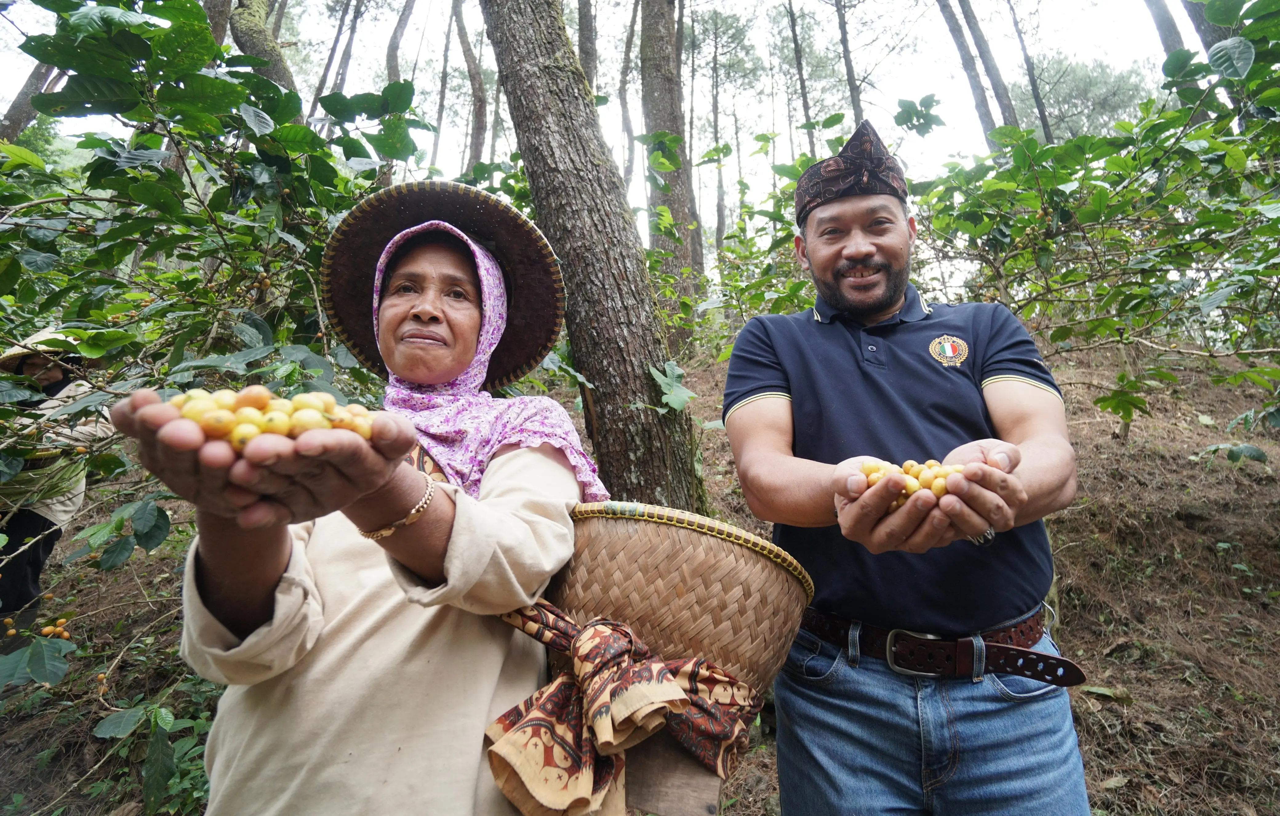 Berdayakan Ekonomi Masyarakat  PHE Dukung Budidaya Kopi Puntang