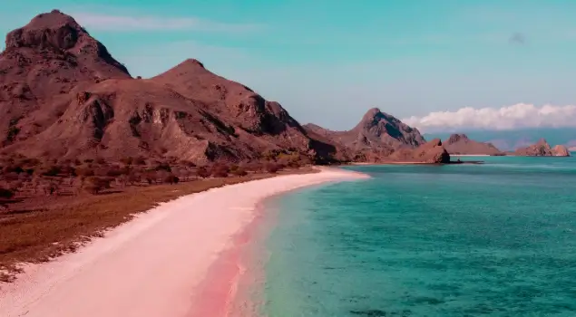 Pink Beach di Taman Nasional Komodo, Labuan Bajo, Nusa Tenggara Timur (NTT). (Foto: Wikipedia/Devagonal)