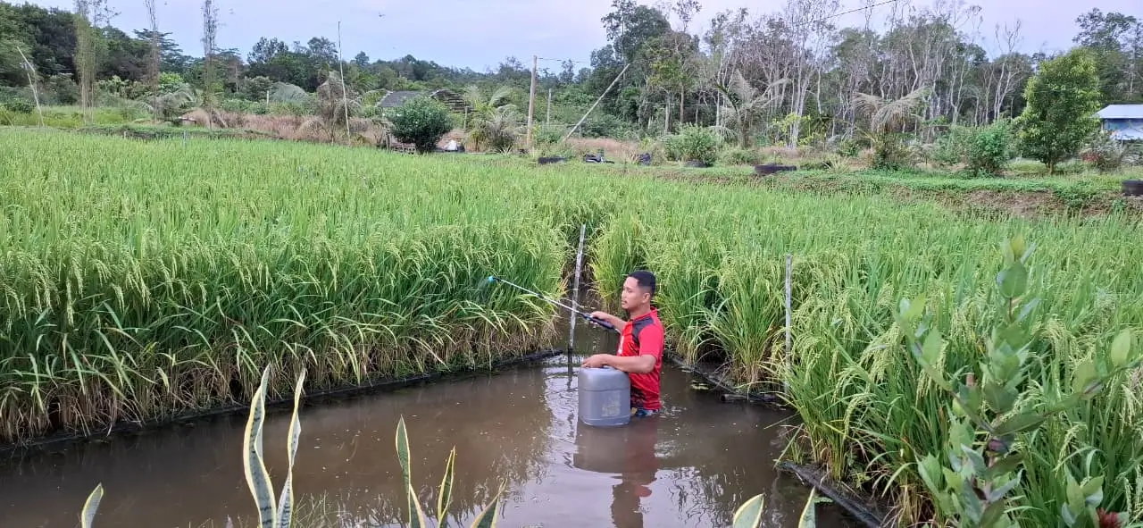 Perkuat Ketahanan Energi dan Pangan  Pertamina Kembangkan 110 Inovasi lewat Program PFmuda