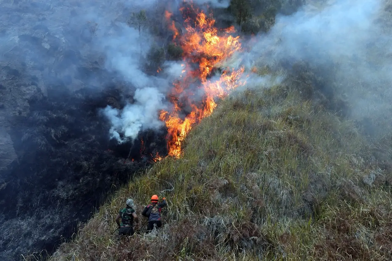 Ilustrasi kebakaran hutan dan lahan (karhutla). (Foto: bnpb.go.id)