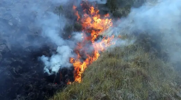Ilustrasi kebakaran hutan dan lahan (karhutla). (Foto: bnpb.go.id)