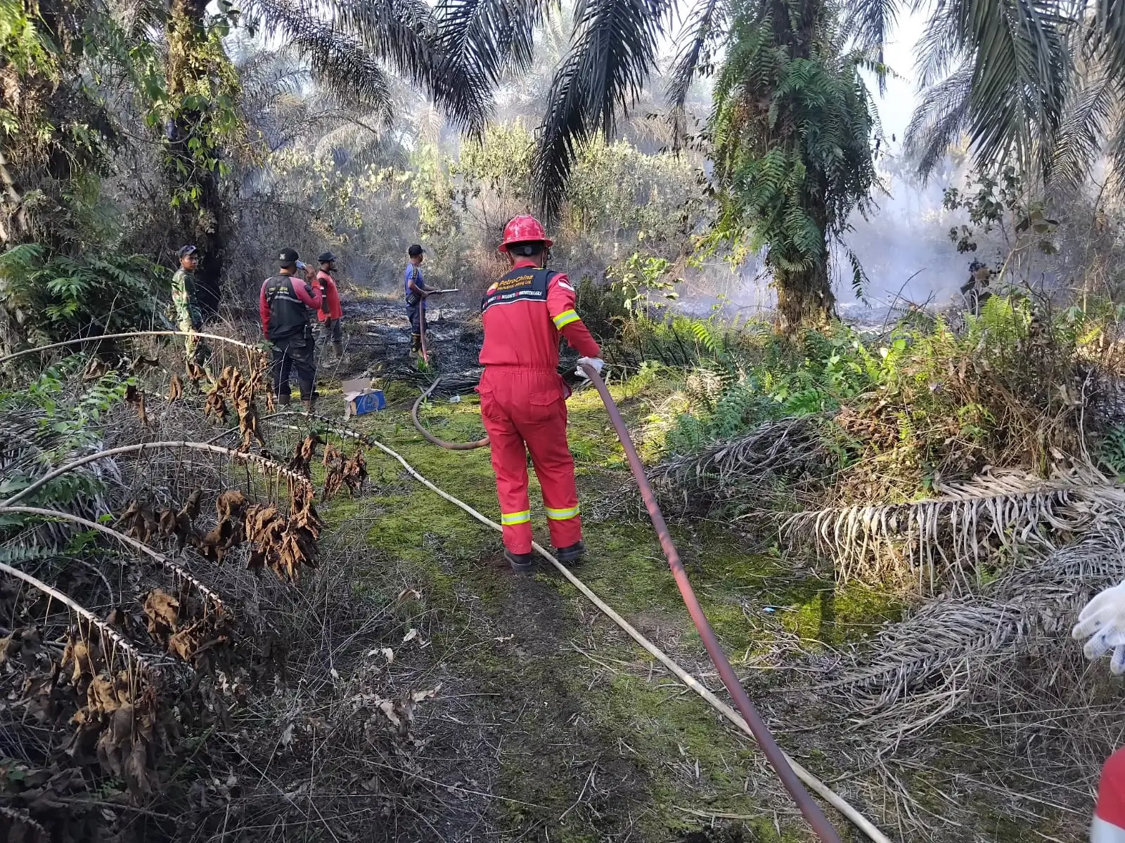 PetroChina Bantu Padamkan Karhutla di Jambi