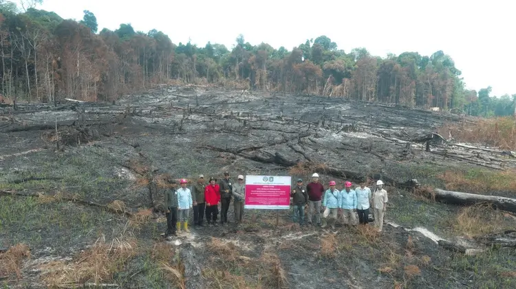 Kemenhut beri sanksi kepada enam perusahaan terkait kebakaran hutan dan lahan (karhutla) di Kalimantan. (Foto: kehutanan.go.id)