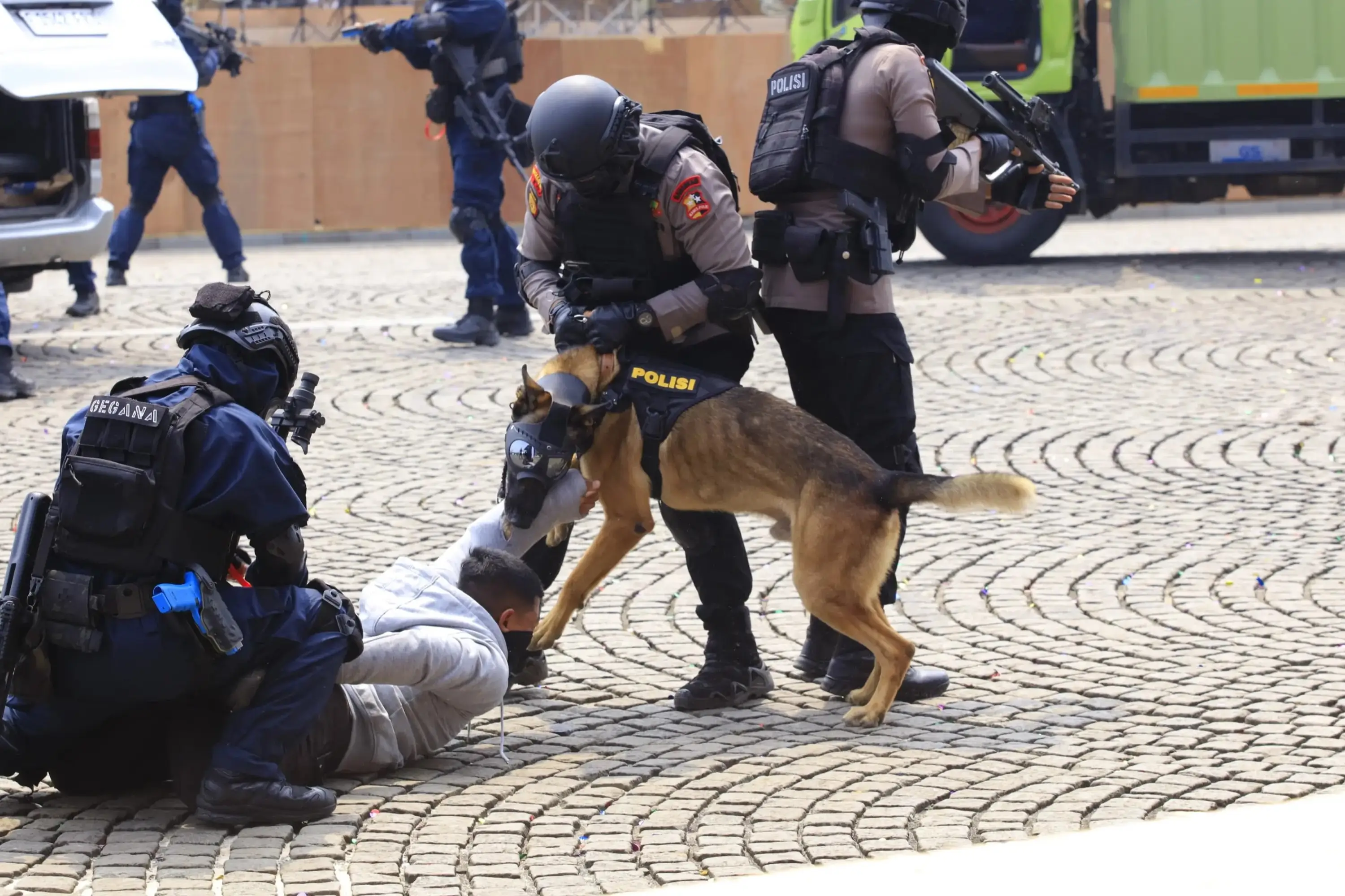 Salah satu anjing K9 milik Polri tengah bertugas bersama pawang dalam rangka Hari Bhayangkara ke-79 di kawasan Monas, Jakarta pada 1 Juli 2025. (Foto: mediahub.polri.go.id)
