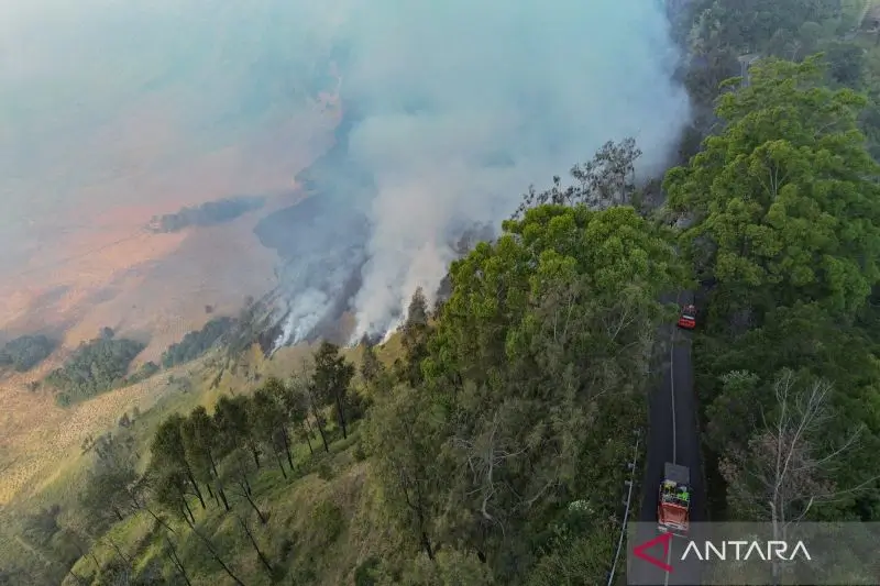 Kepulan asap dari kawasan Blok Bantengan, Taman Nasional Bromo Tengger Semeru (TNBTS), Kabupaten Probolinggo, Jawa Timur, Selasa (4/8/2026) (Foto: ANTARA FOTO/Irfan Sumanjaya/tom)
