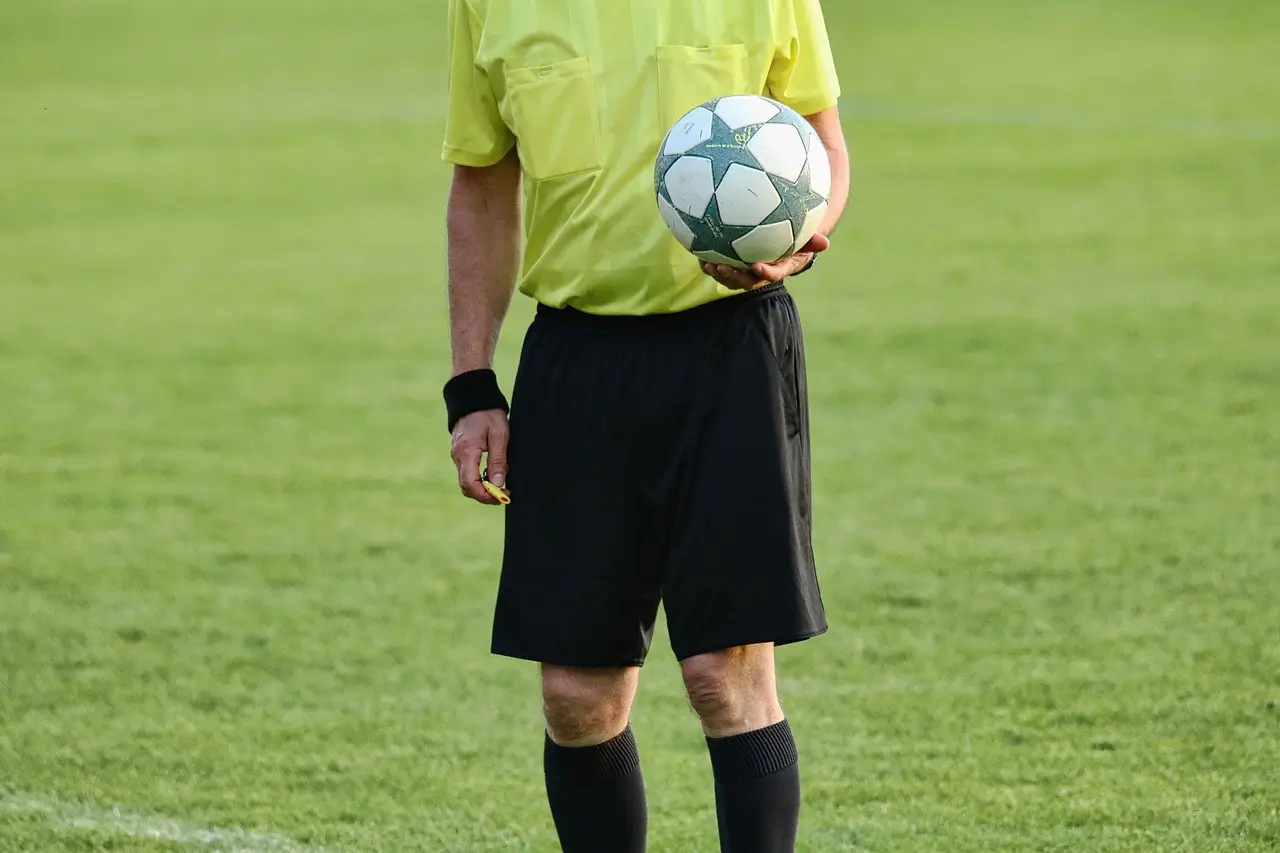Ilustrasi wasit. Foto Pixabay.