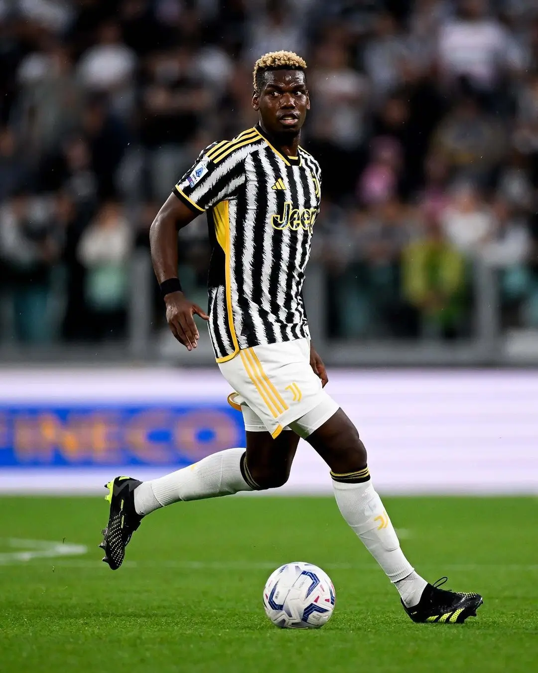 Paul Pogba Tersandung Kasus Doping  Terancam Diputus Kontrak Juventus