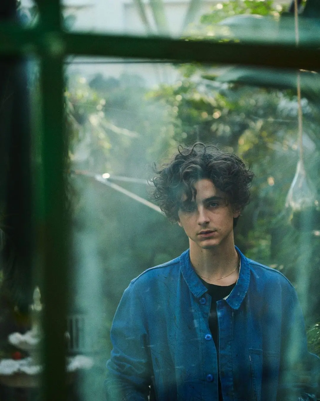 Foto: Timothée Chalamet (instagram.com/tchalamet)