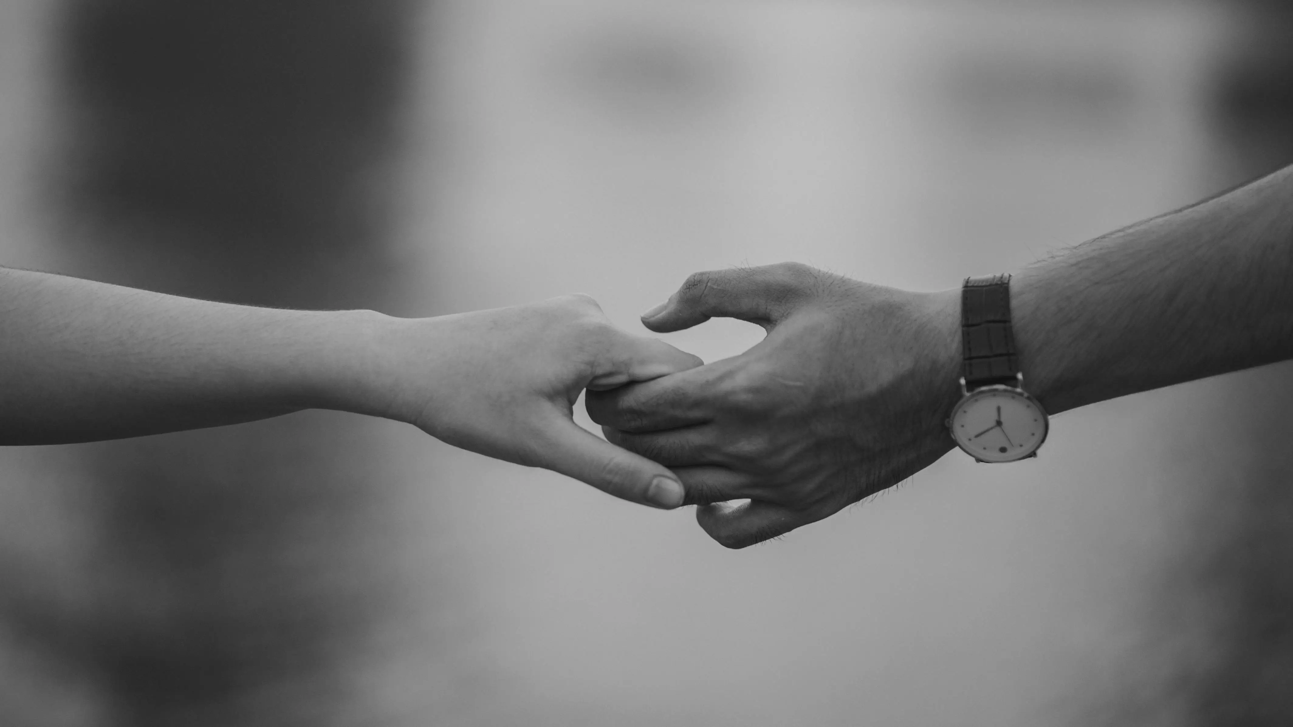 Foto: Pexels/Min An