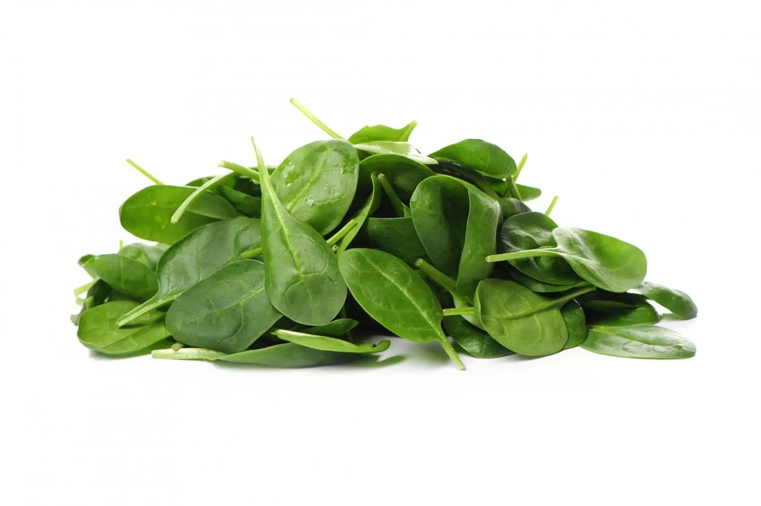 Bukan Hanya dari Daging  Ini Sayur yang Kaya Protein