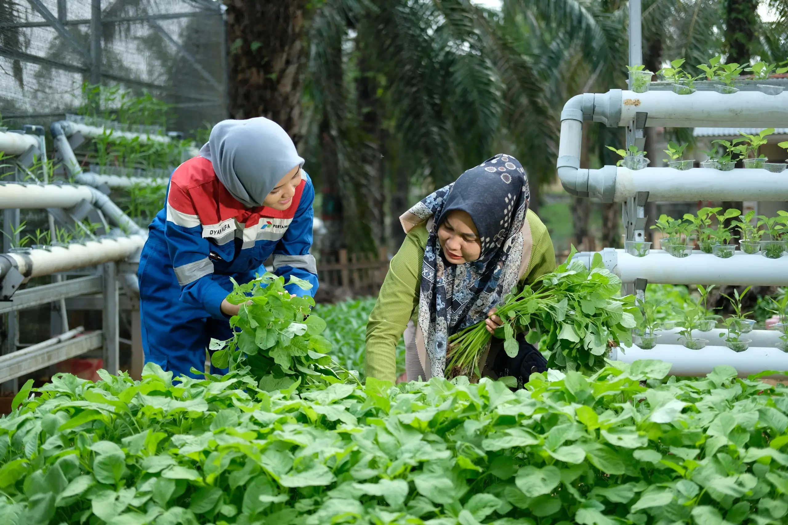 Kontribusi Nyata Pertagas untuk Masyarakat dan Lingkungan  Raih 4 Penghargaan Internasional di Asian Impact Awards 2025