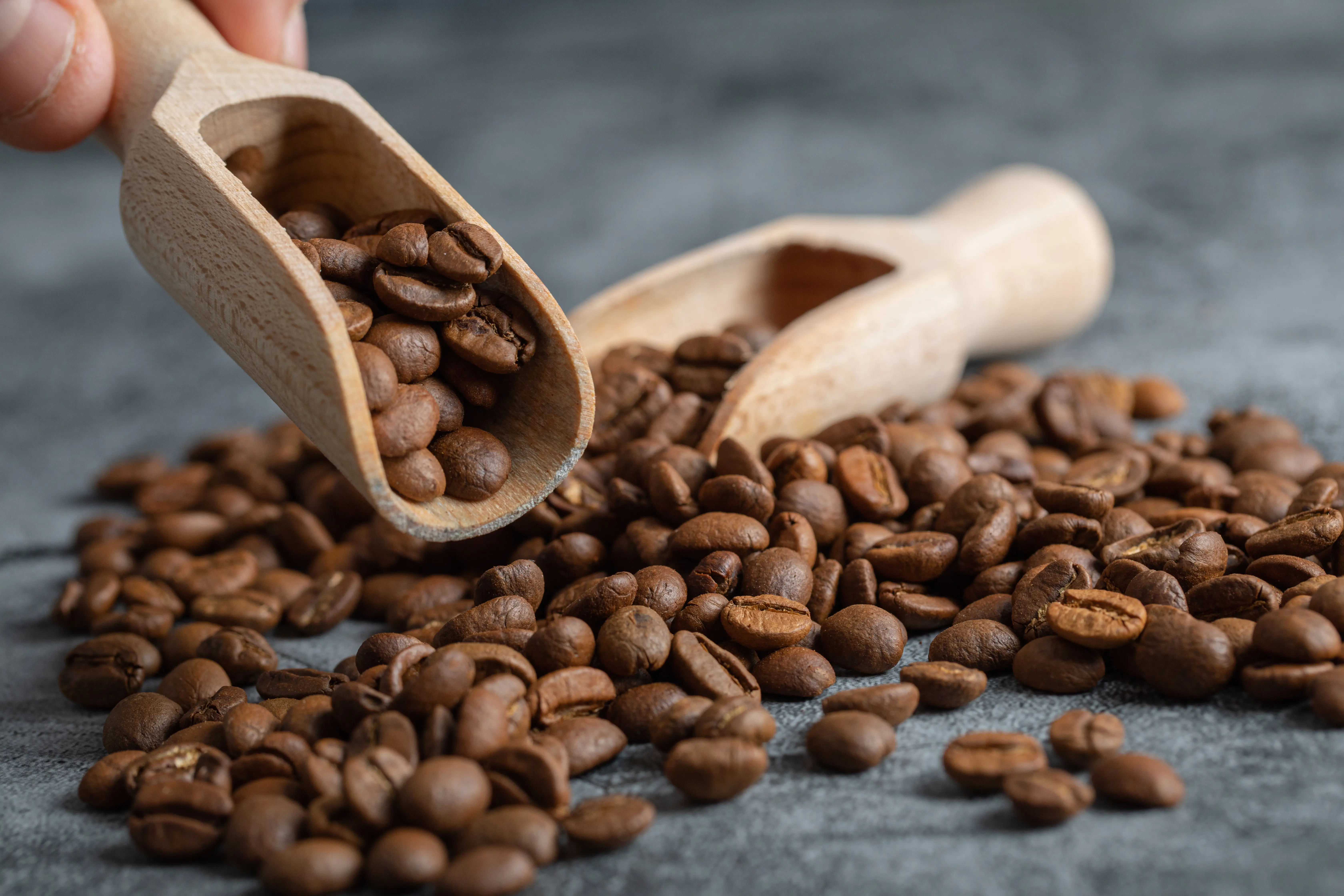 Ilustrasi Kopi Sidakalang (Foto: freepik.com/azerbaijan_stockers)