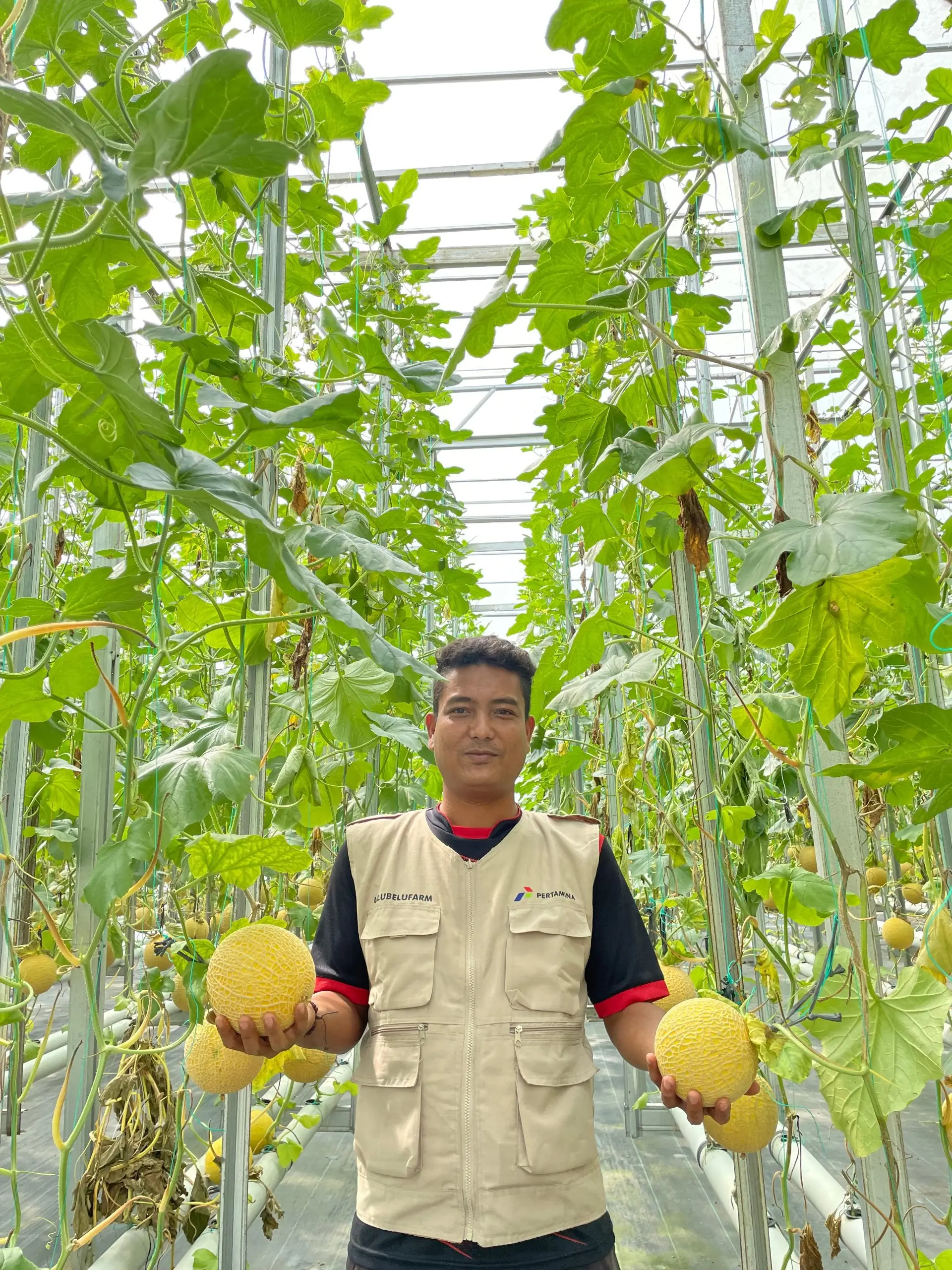 Masyarakat Ulubelu mendukung ekosistem hidrogen hijau yang dikembangkan Pertamina. (Foto: Dok. Pertamina)