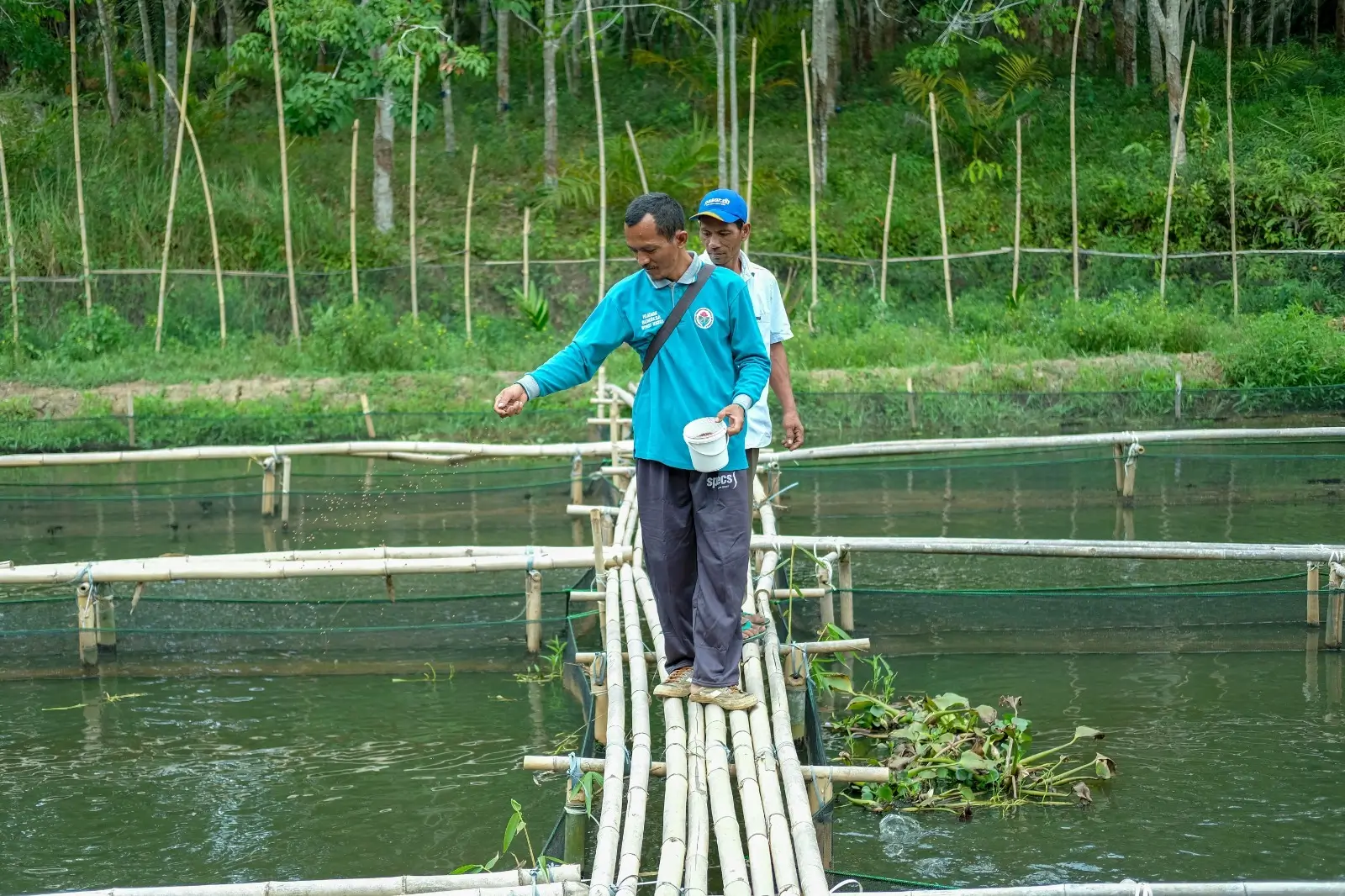 Pertagas Dorong Ketahanan Pangan Lewat Pertanian Berkelanjutan  Dari Lahan Kritis hingga Sawah Produktif