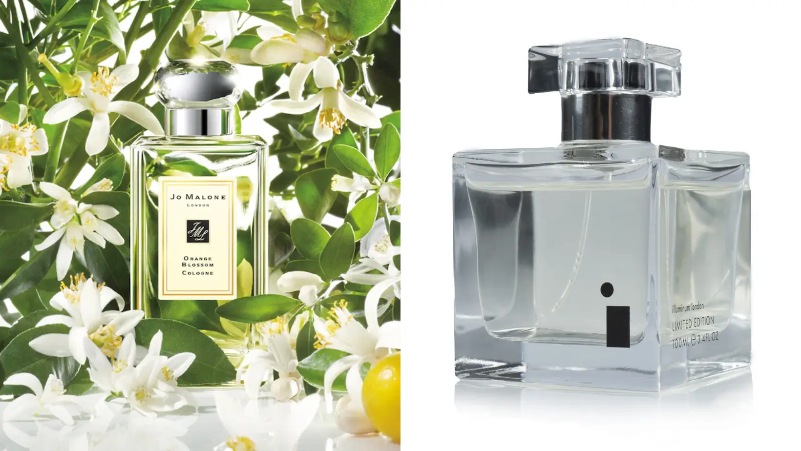 Parfum Signature Perempuan Ikonik mulai dari Marlyn Monroe hingga Hailey Bieber