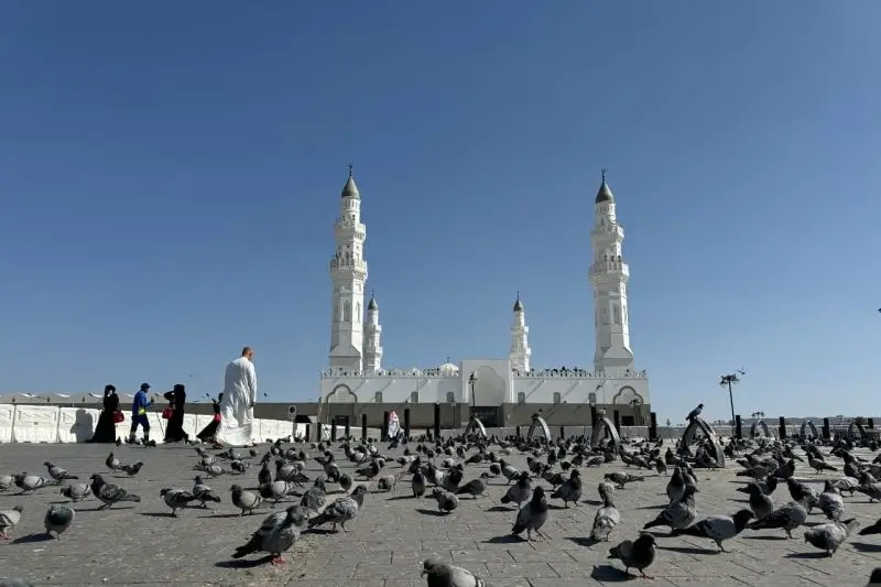 Ilustrasi: Ratusan burung merpati di Masjid Quba. (Foto: ANTARA/Ahmad Faisal Adnan/am)
