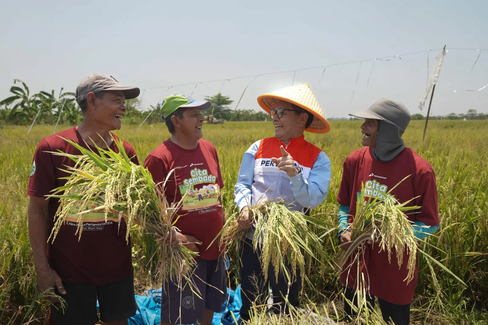 Dukung Swasembada Pangan Nasional  Pertagas Lakukan Panen Raya di Sidoarjo