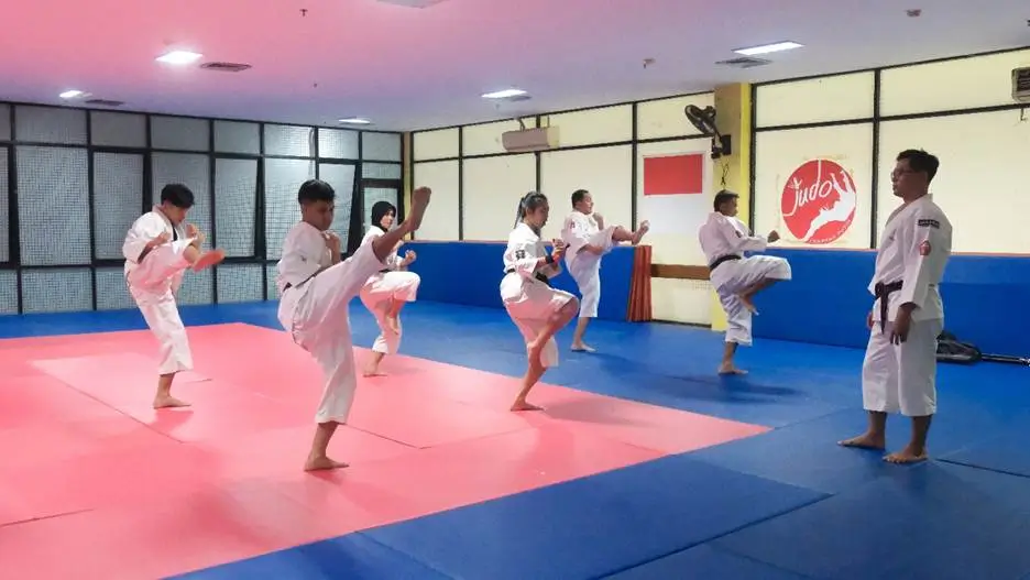 Dany Prihandoko dan Perjalanan Hidupnya  Dari Peraih Medali Emas Kempo  Beasiswa LPDP  hingga Kepelatihan