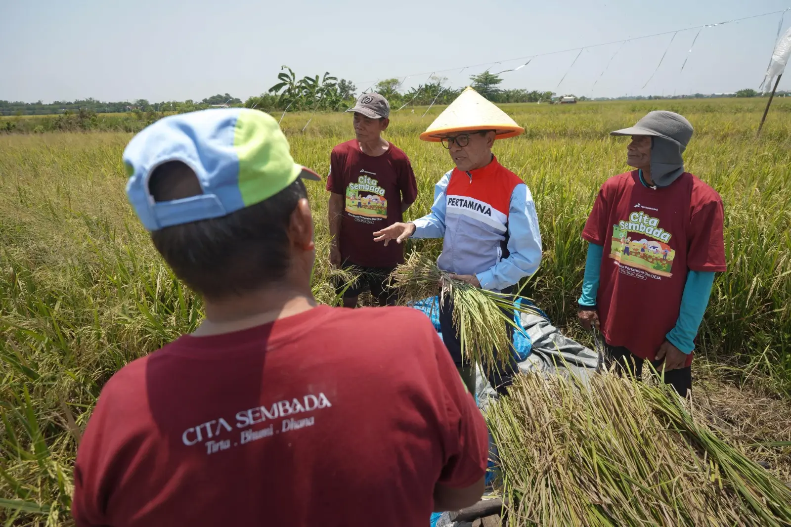 Dukung Swasembada Pangan Nasional  Pertagas Lakukan Panen Raya di Sidoarjo