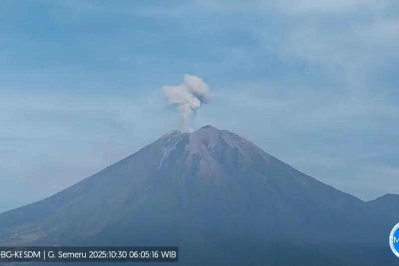 Gunung Semeru Erupsi Delapan Kali dalam Enam Jam  Kolom Abu Capai 800 Meter