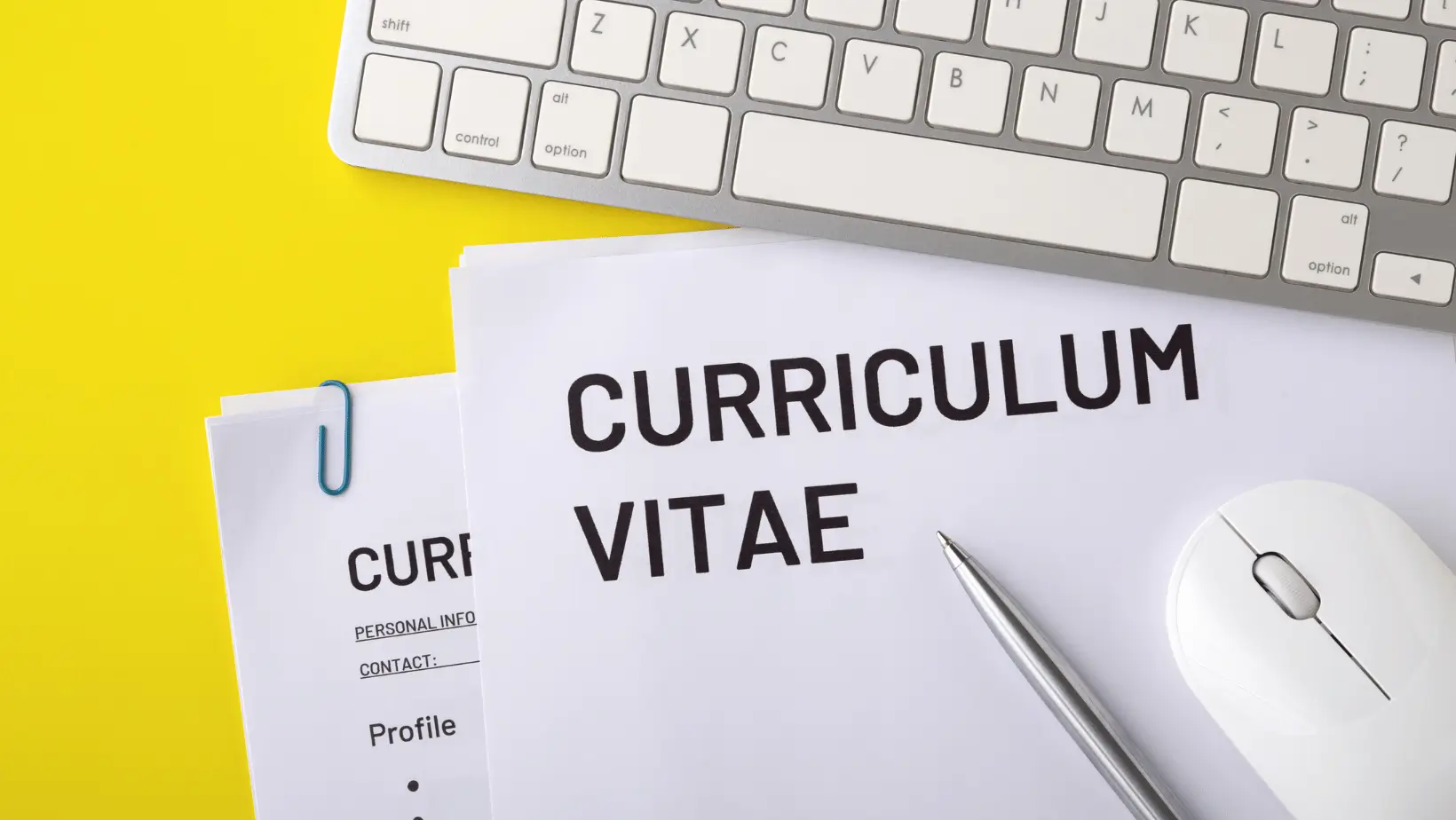 Sering Dilakukan  4 Red Flag Ini Bikin CV Ditolak HRD