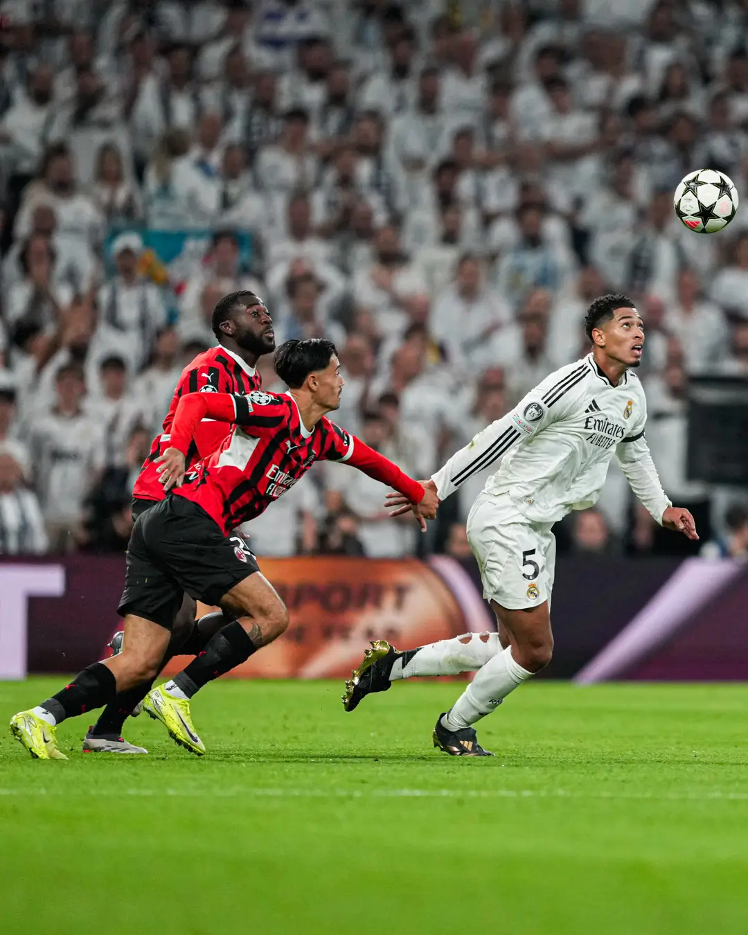 Sporting CP Bantai Manchester City 4 1  AC Milan Permalukan Real Madrid 3 1 di Liga Champions