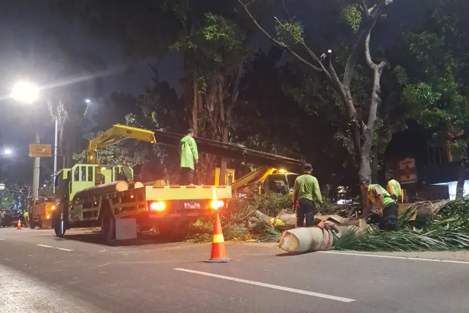 Pohon di Pondok Indah Diremajakan pada Rabu (29/10). (Foto: beritajakarta.id)